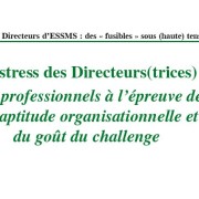 Stress des dirigeants