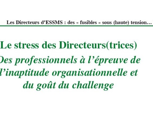 Stress des dirigeants